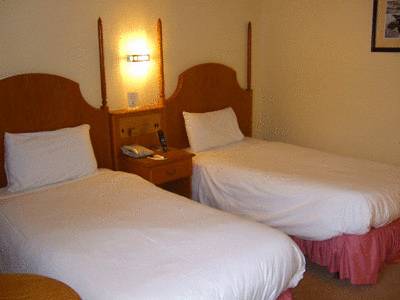 Twin/Double Copthorne Hotel London Gatwick